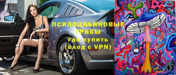 сатива Лабытнанги