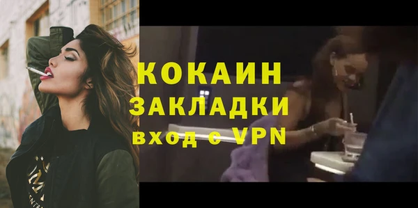 сатива Лабытнанги