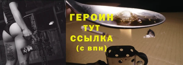 сатива Лабытнанги