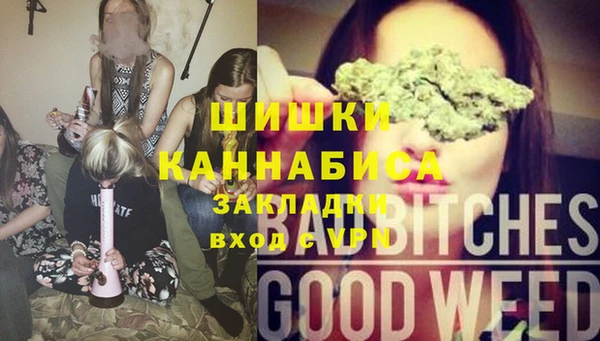 сатива Лабытнанги