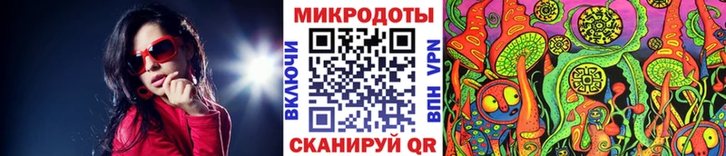 Псилоцибиновые грибы Psilocybine cubensis  Купить где  Саратов 